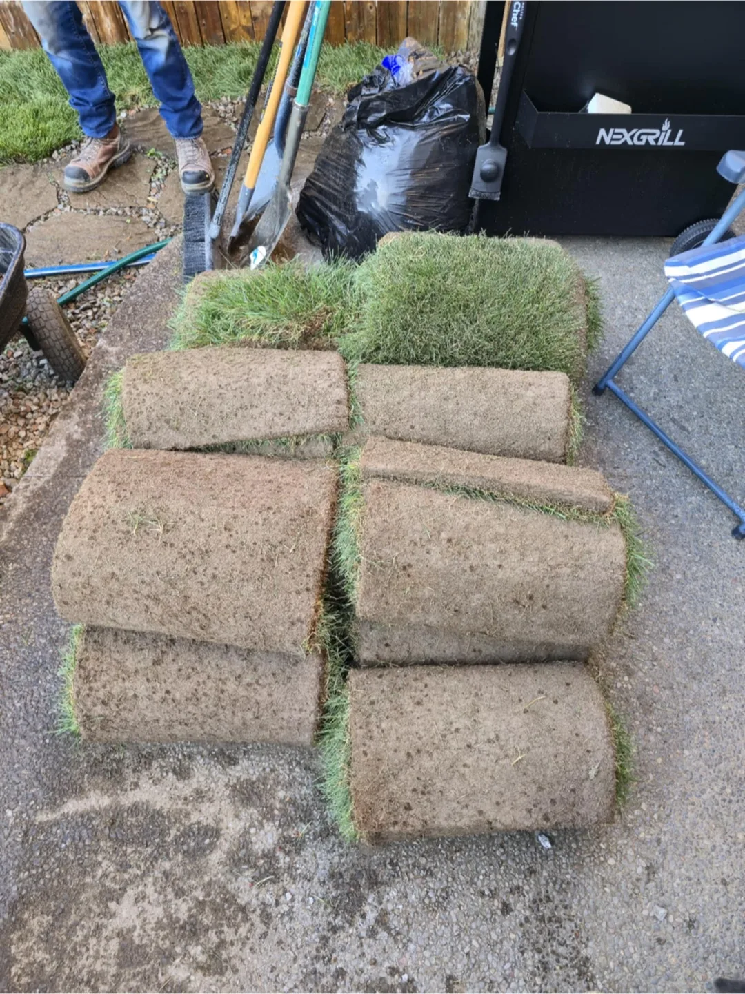 Grass Sod Rolls - Great for Lawn Repair! image indicator(2)