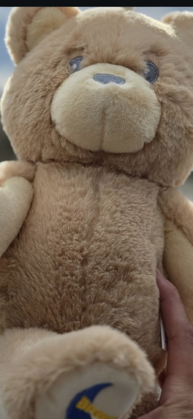 Dreamy Bear Plush Toy with affirmation saying - photo 3