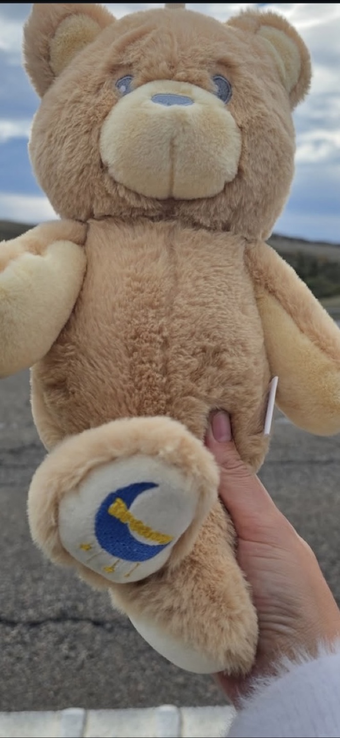 Dreamy Bear Plush Toy with affirmation saying - photo 2