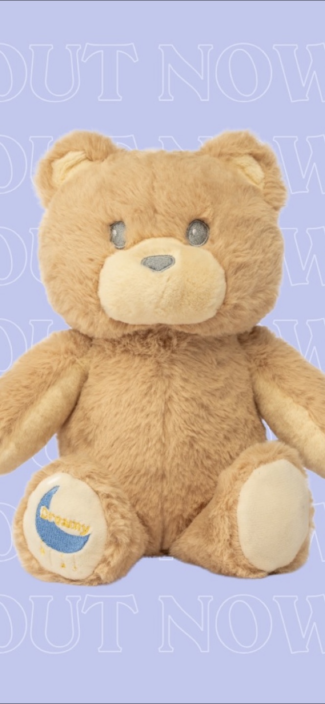 Dreamy Bear Plush Toy with affirmation saying