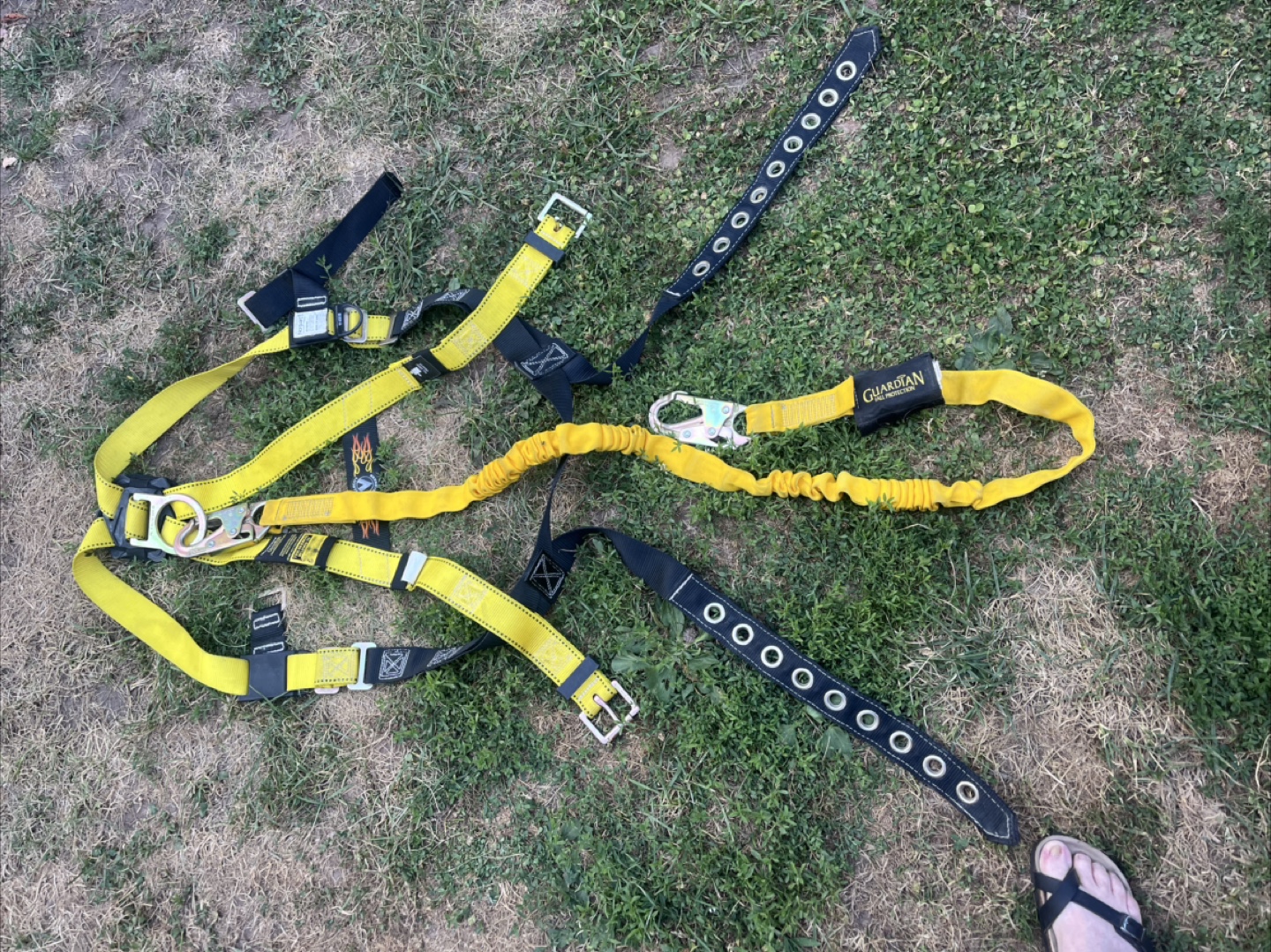 Guardian Fall Protection Harness