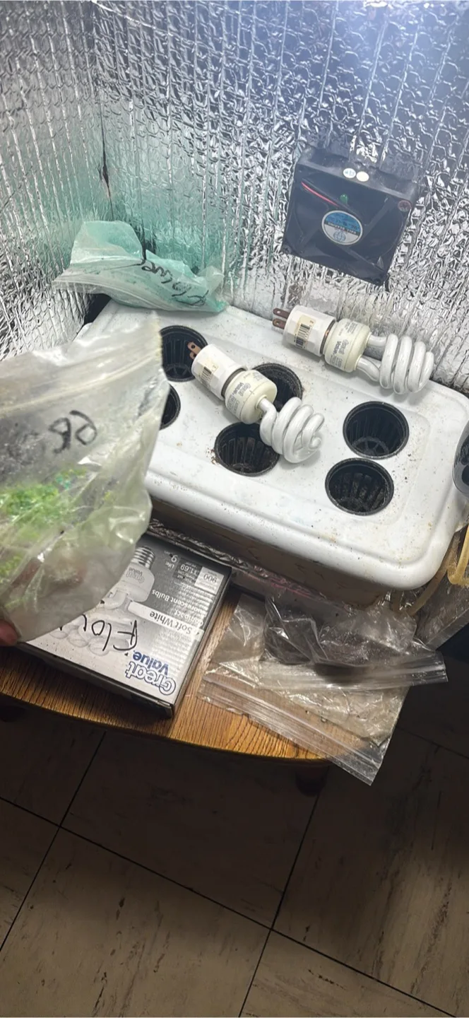 Grow Box with Lights and Fan thumbnail