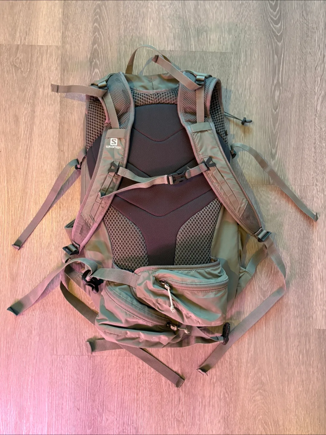 Salomon 30 TrailBlazer Backpack image indicator(2)