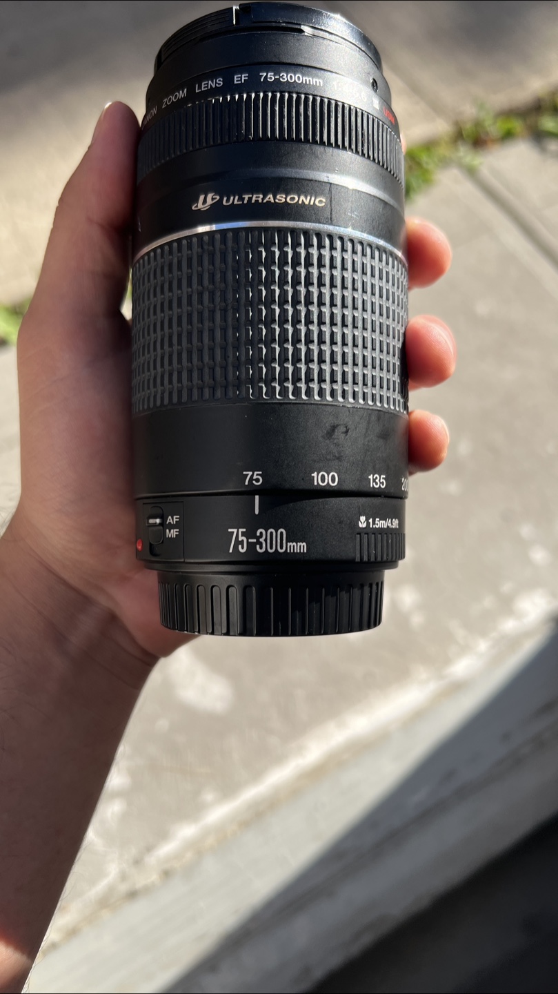 Canon Zoom Lens EF 75-300mm