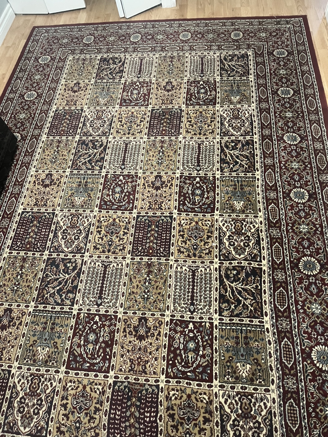 Area Rug - Red/Beige Patterned