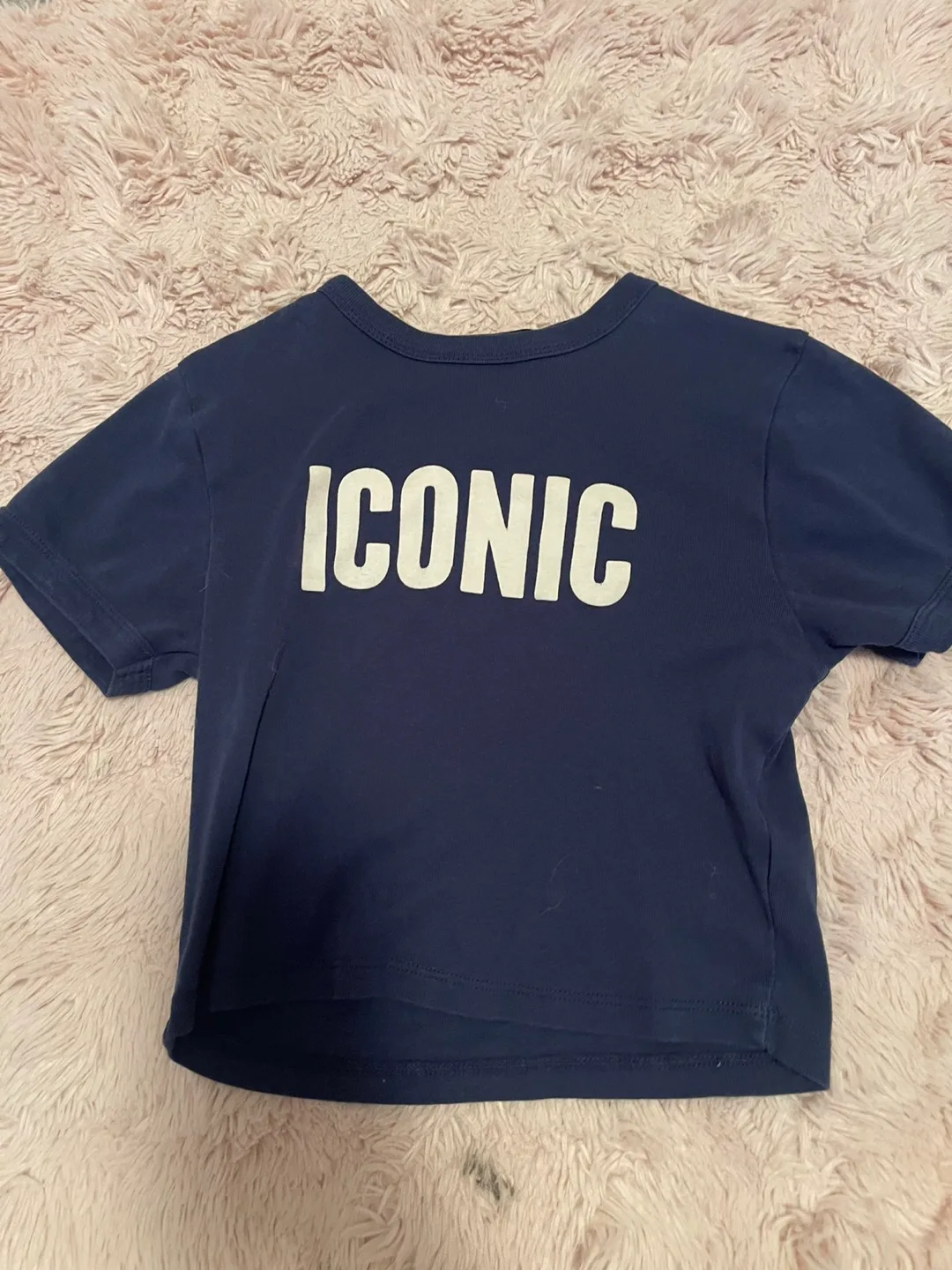 Streetwear Societ Iconic Crop Top - Size Small thumbnail