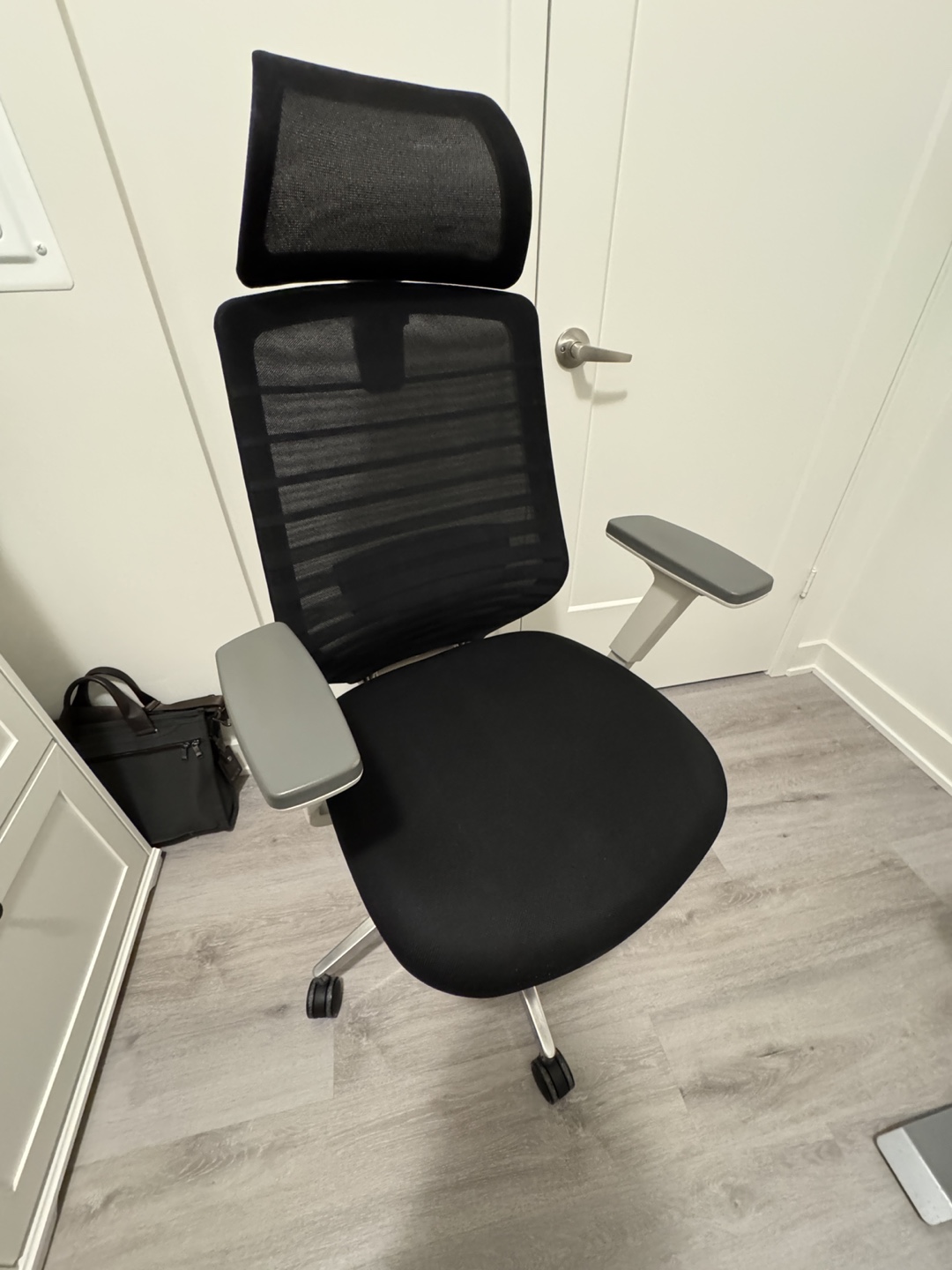 Ergonomic Office Chair (Branch Canada)