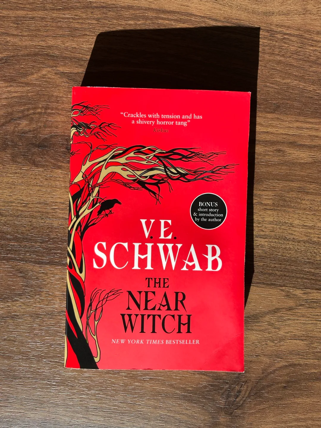 The Near Witch by V.E. Schwab thumbnail