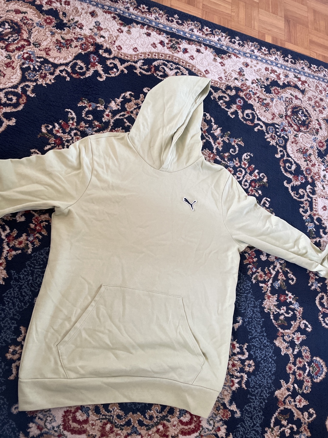 Puma Hoodie - Light Green