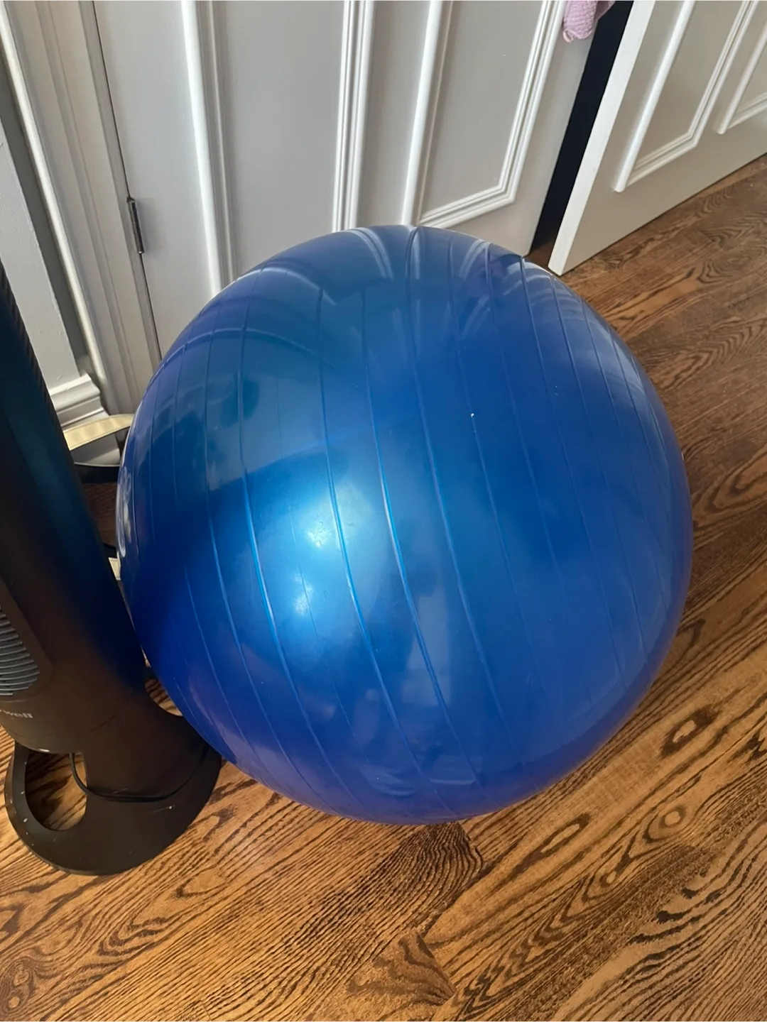 Blue Exercise Ball thumbnail