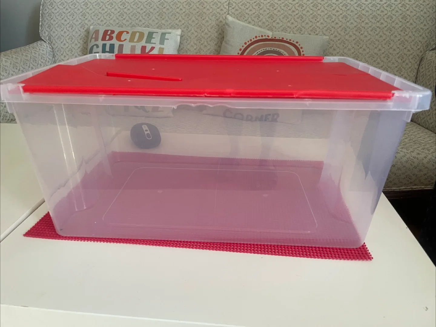 Red Lid Storage Container thumbnail