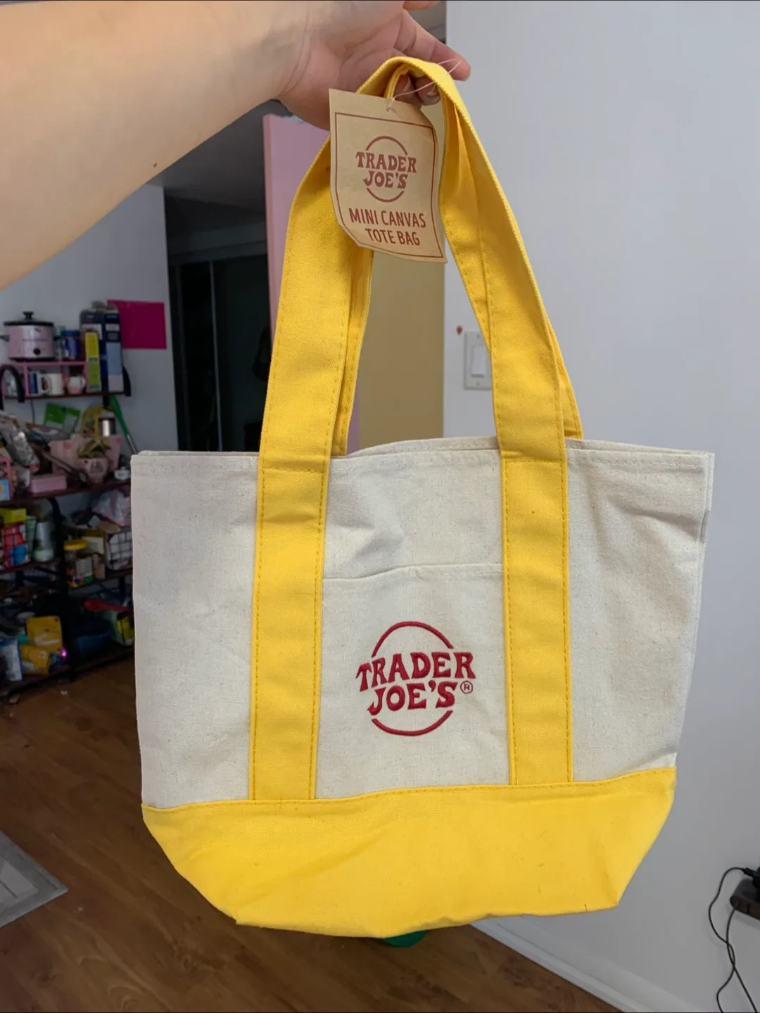 ‼️MOVING SALE‼️Trader Joe's Mini Canvas Tote Bag thumbnail