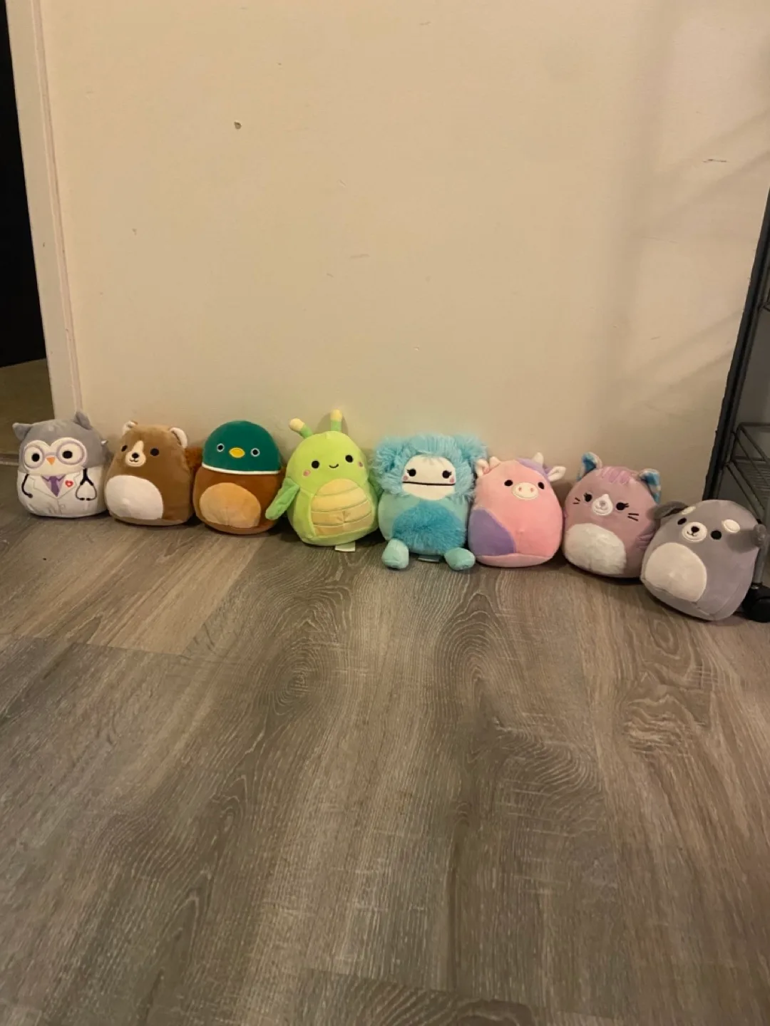 9 mini Squishmallows 🇨🇦 thumbnail