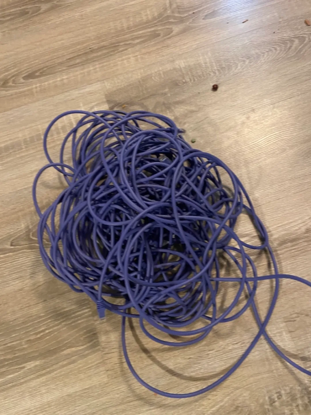 Purple Ethernet Cable 🇨🇦 thumbnail