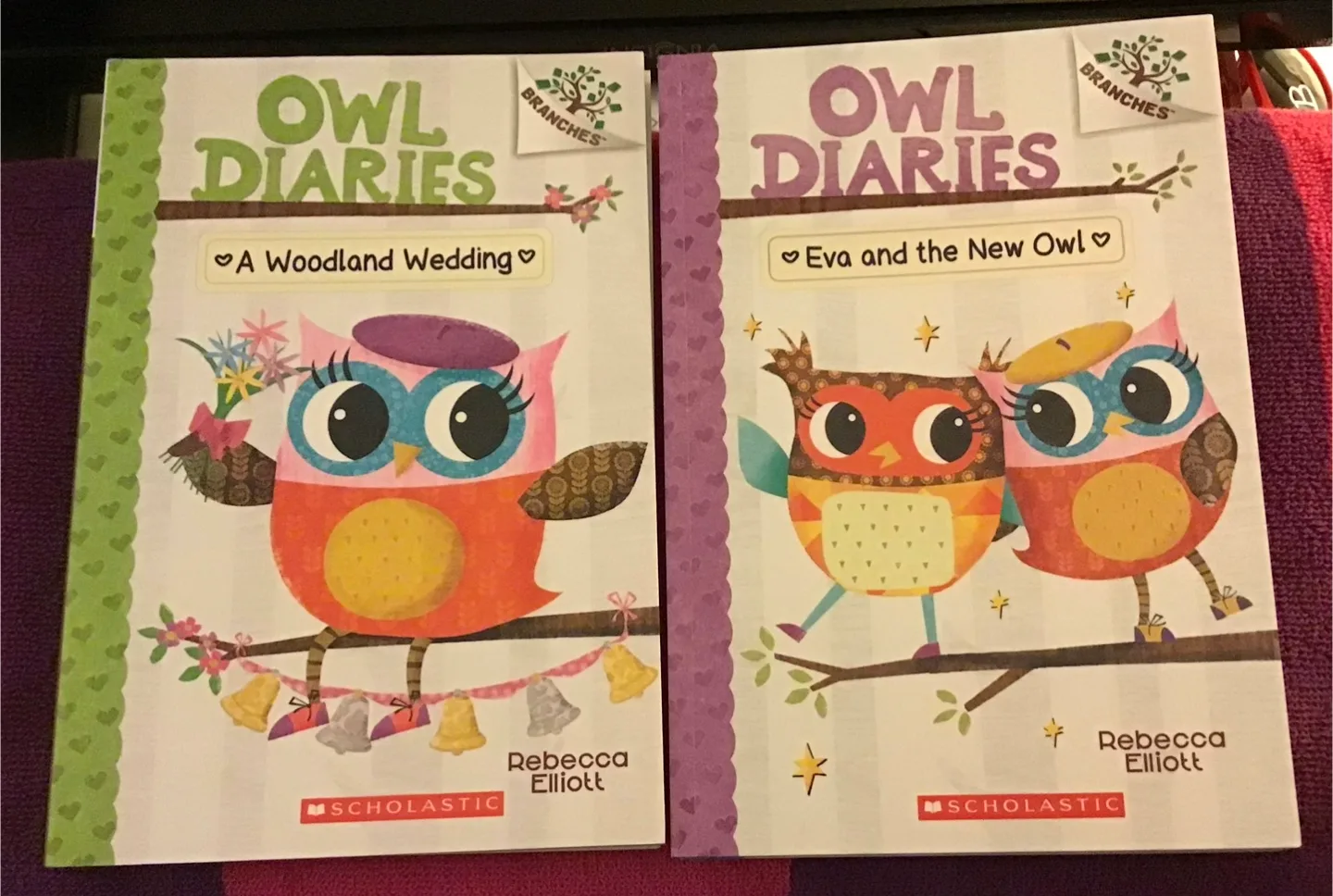 🤩 Owl Diaries Books by Rebecca Elliott (Scholastic) image indicator(3)