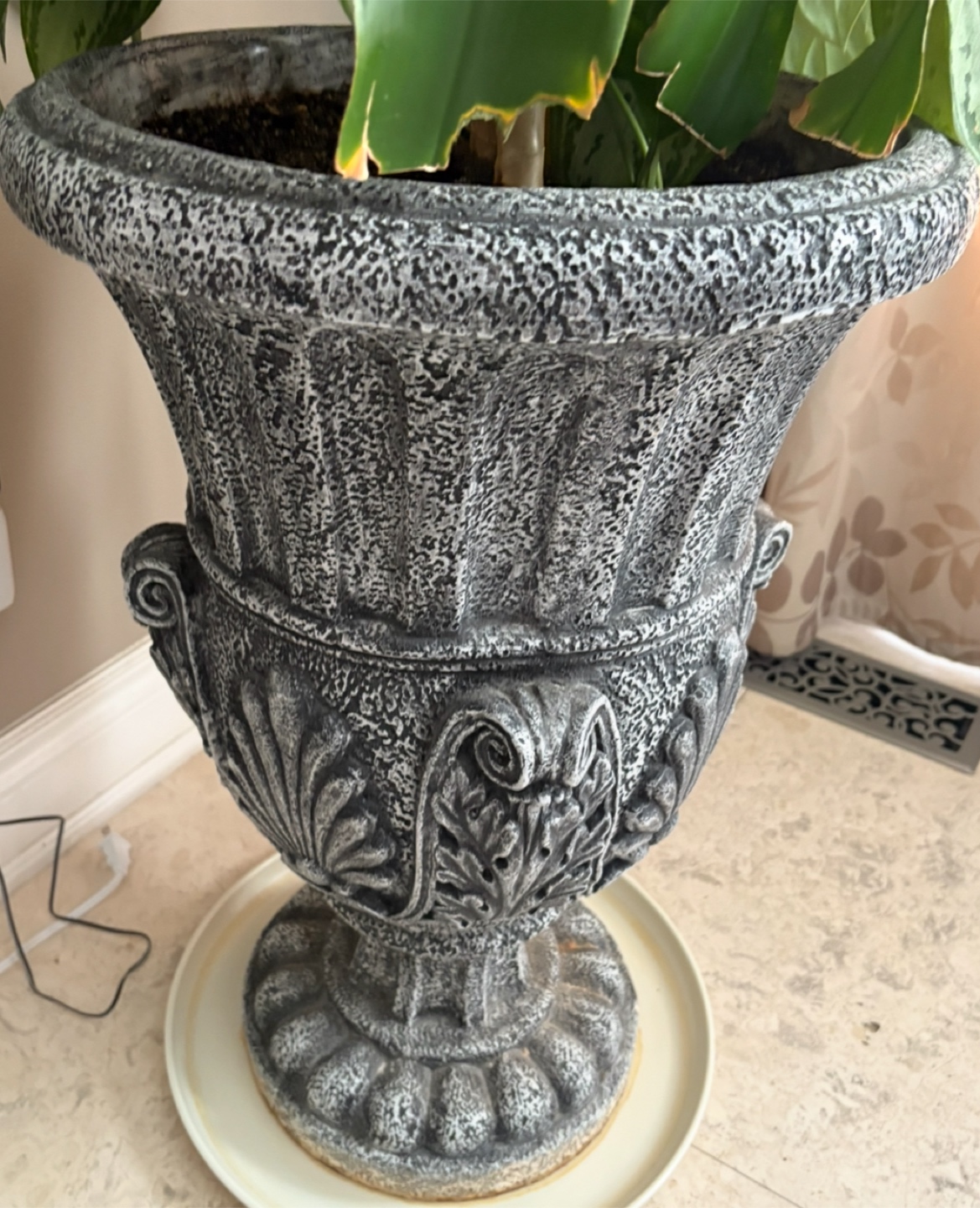 Potted Chinese Evergreen Plant - photo 2