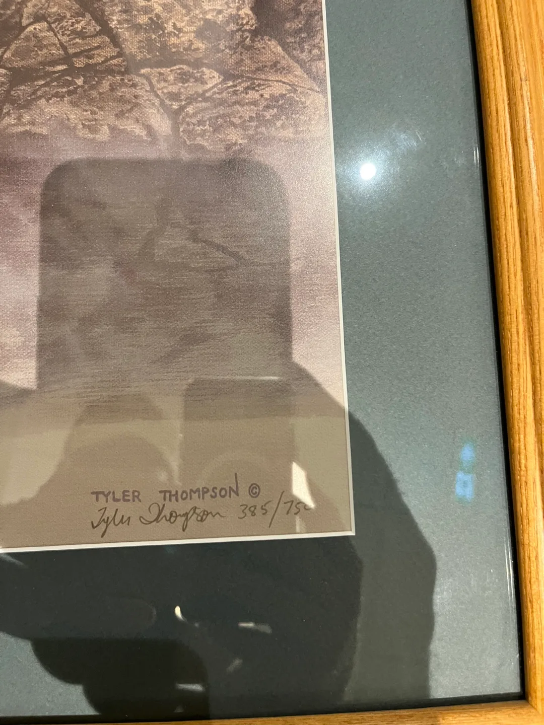 Tyler Thompson Framed Print 385/750 image indicator(2)
