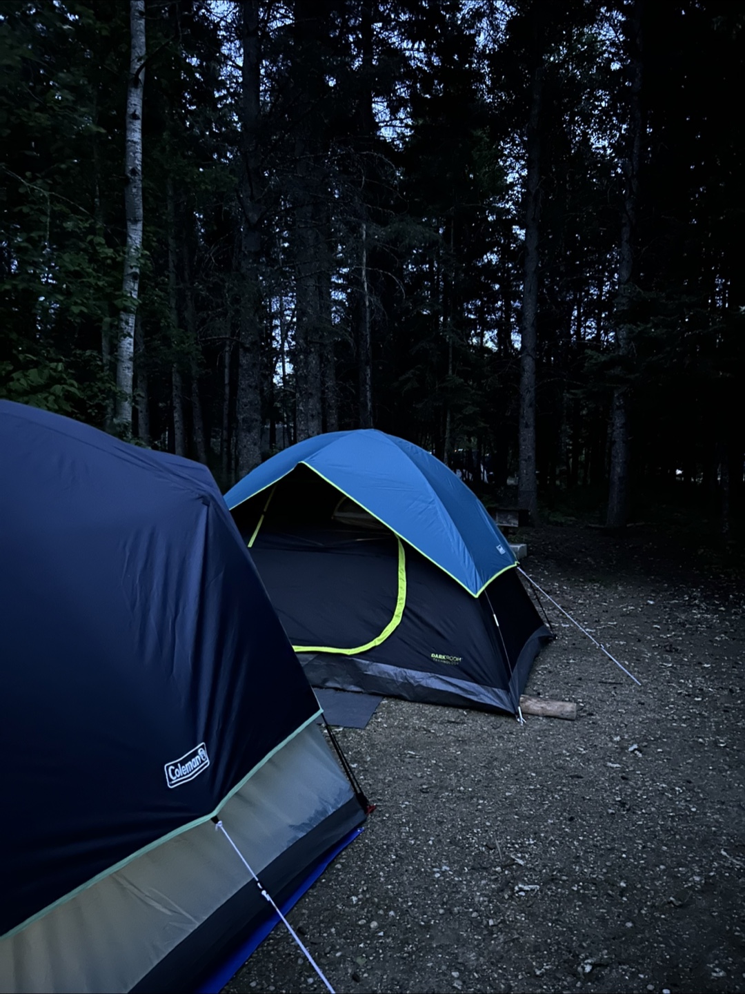 Coleman Skydome 4/6 Person Camping Tent - photo 2