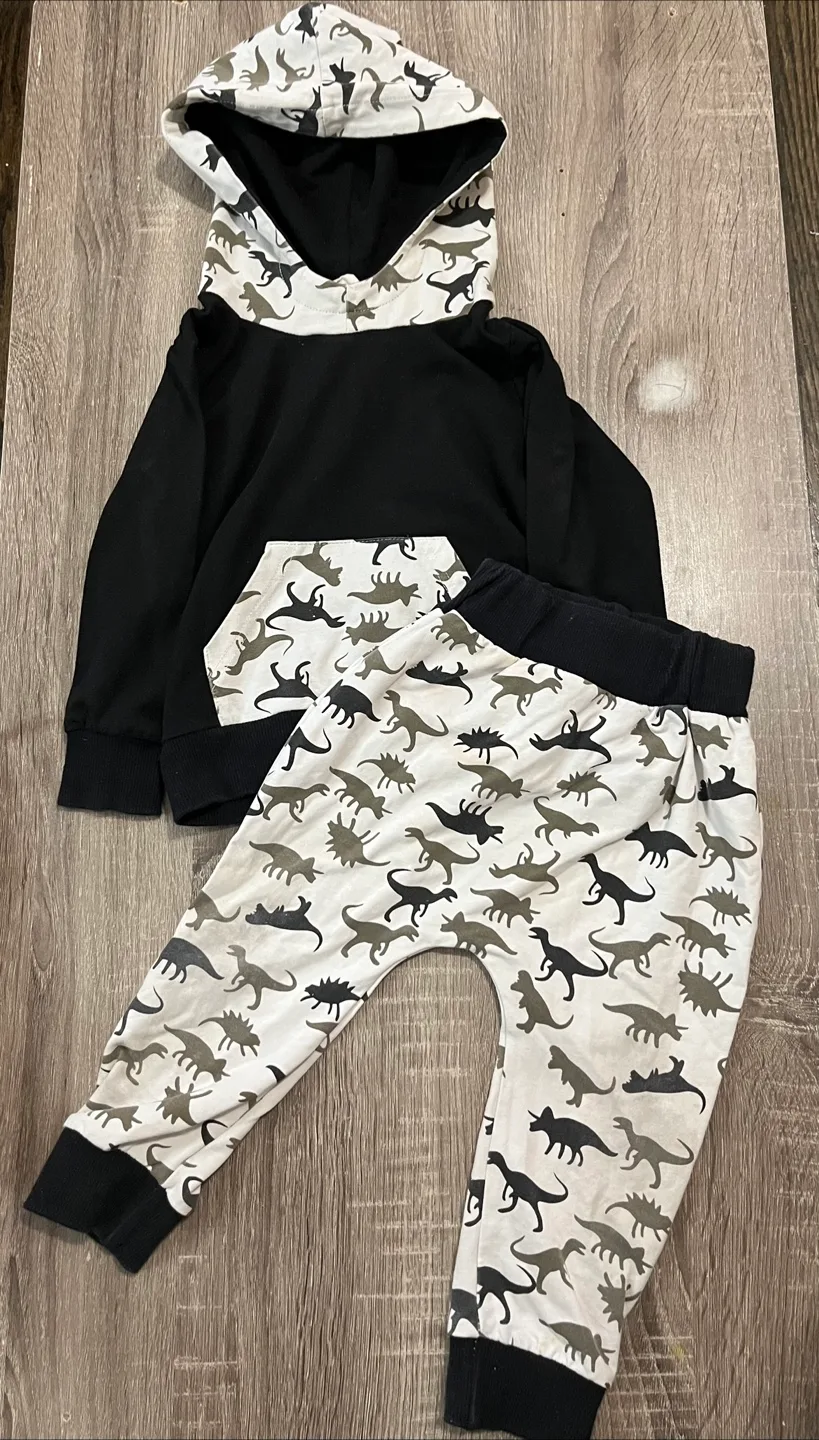 Dinosaur Print Hoodie & Pants Set thumbnail