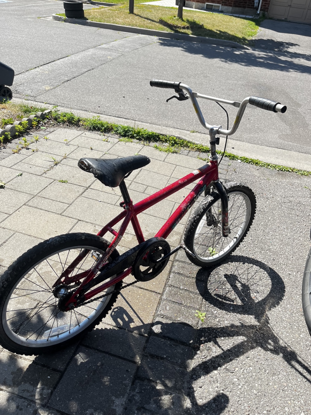 Supercycle Youth Cycle