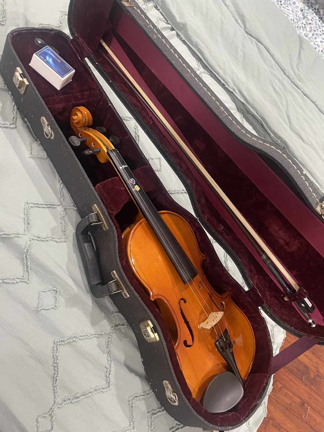 Violin with Case and Bow