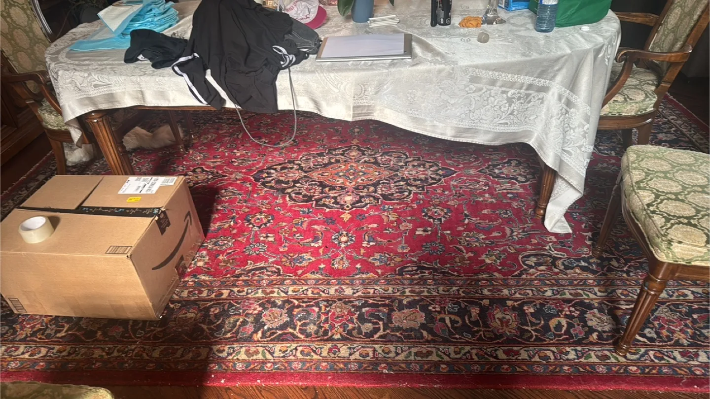 Persian Style Area Rug thumbnail
