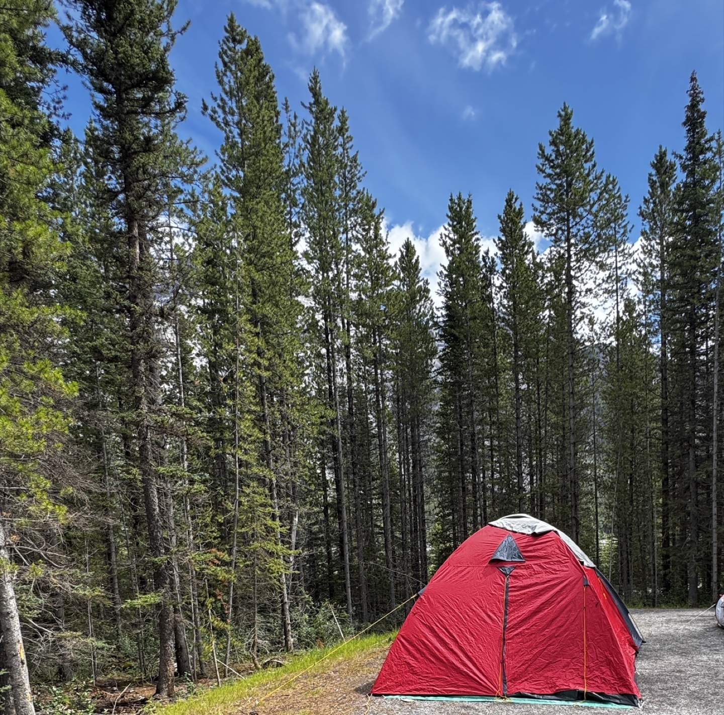 Family Camping Tent