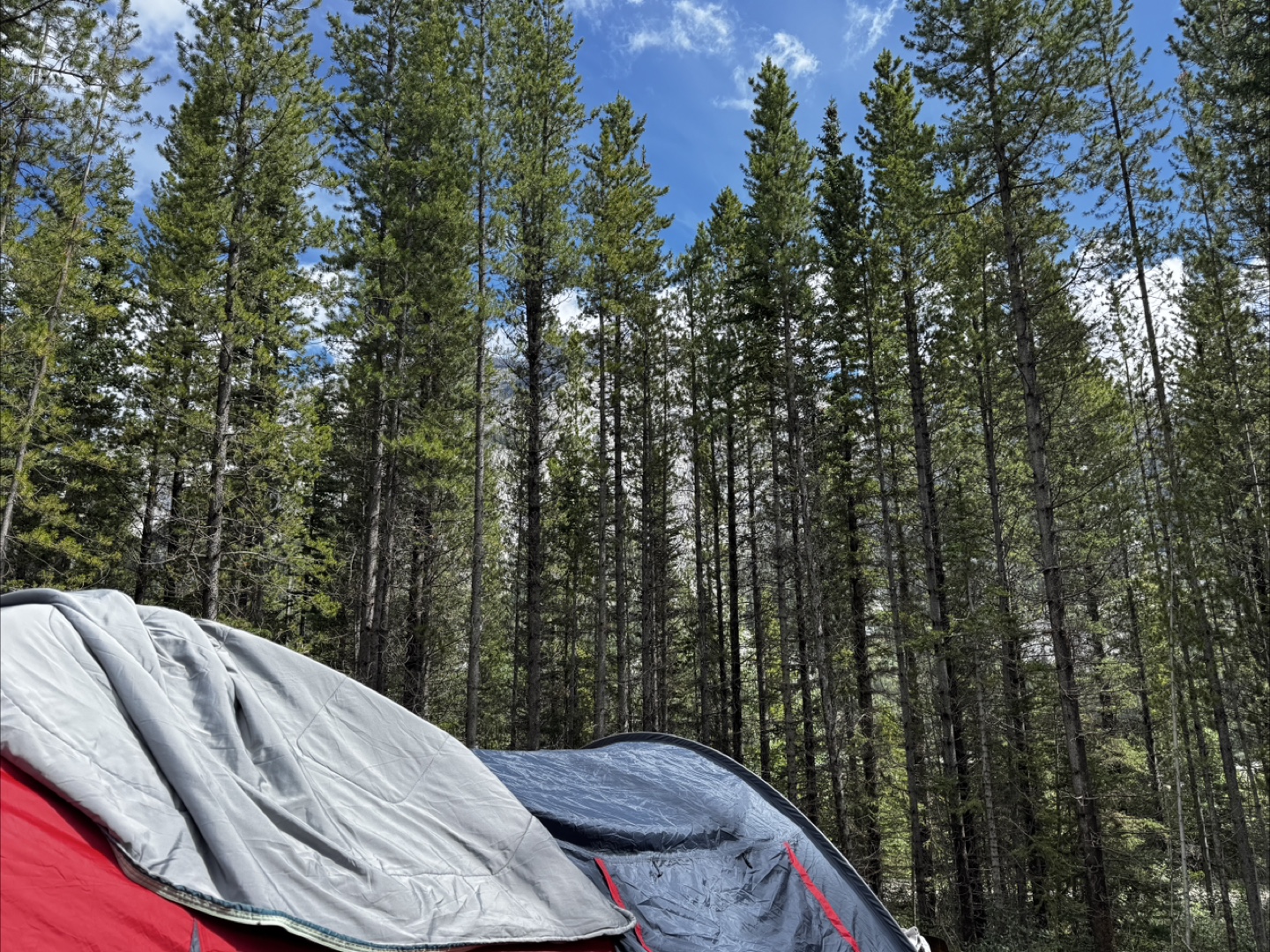 Family Camping Tent - photo 2