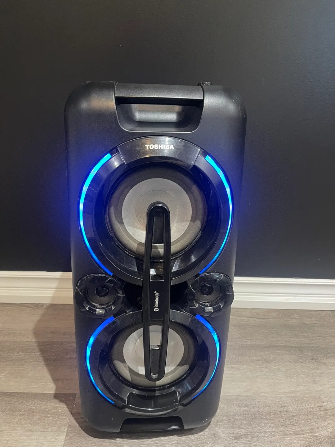 Toshiba TY-ASC60 Portable Sound System Speaker image indicator(4)