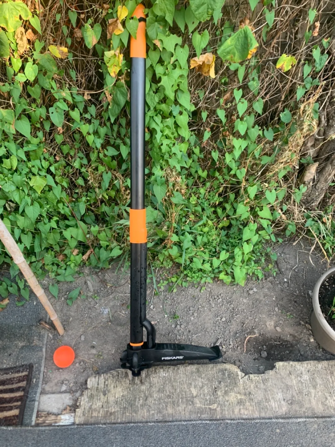 Fiskars Weed Remover thumbnail