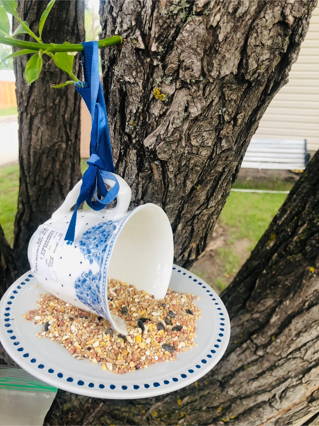 🇨���🇦NEW The English Mug Co. Bird Feeder with Bird Seed thumbnail
