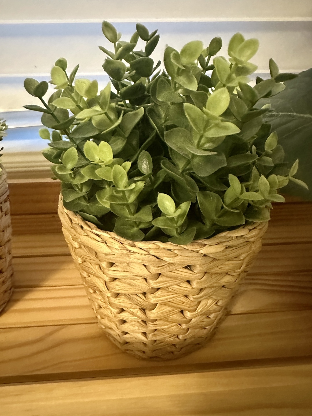 Ikea plant decorations