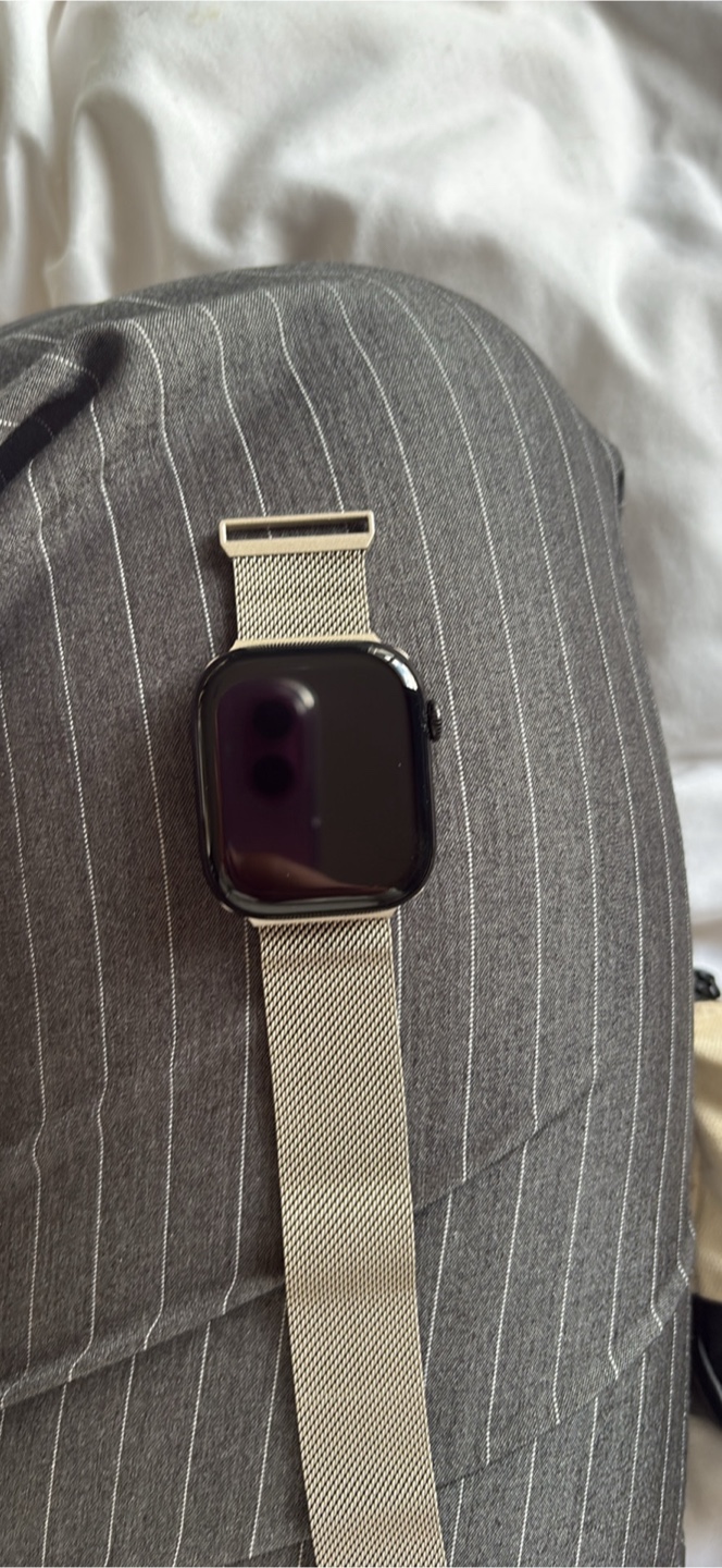 Apple Watch with Milanese Loop