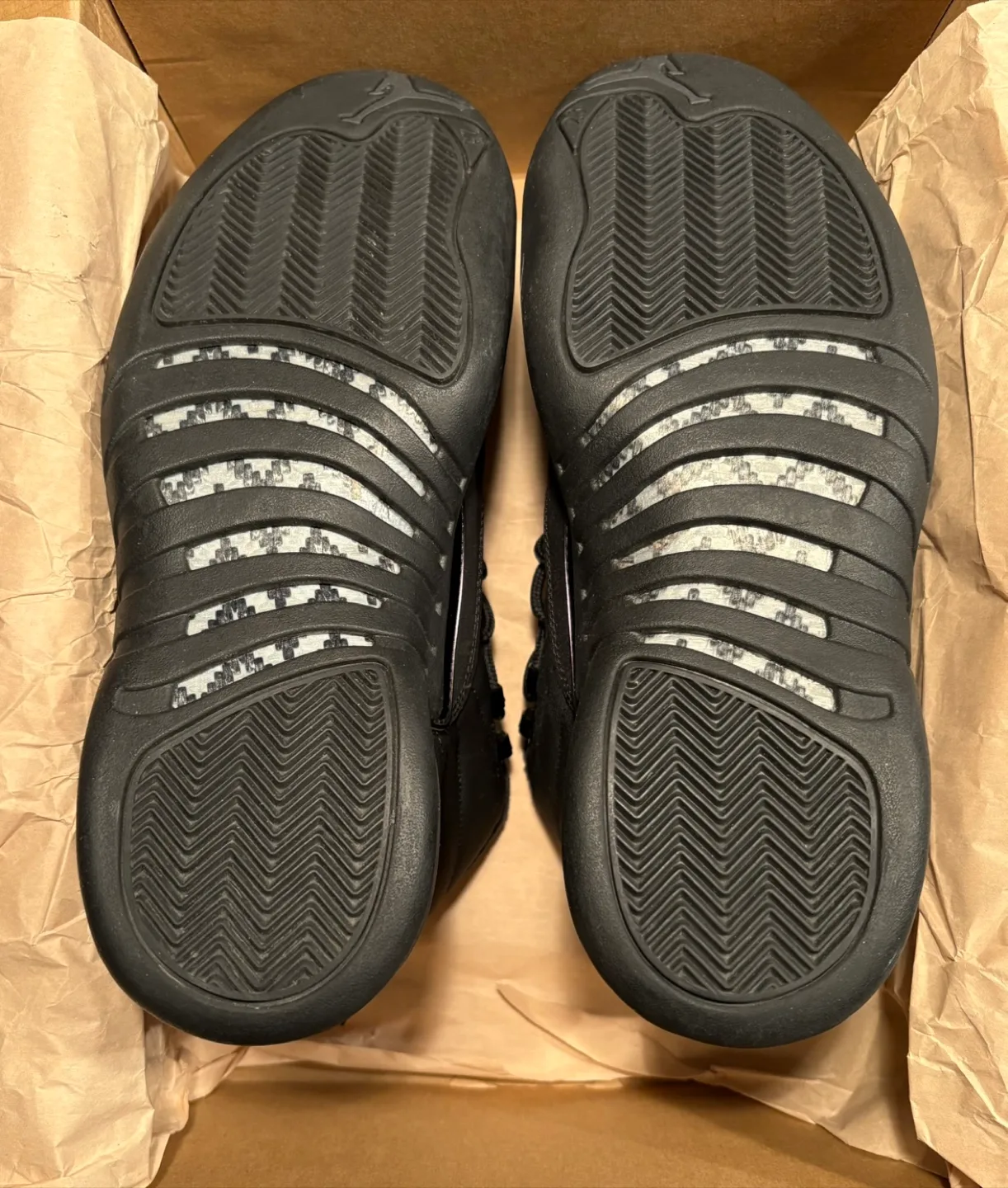 Jordan 12 image indicator(3)