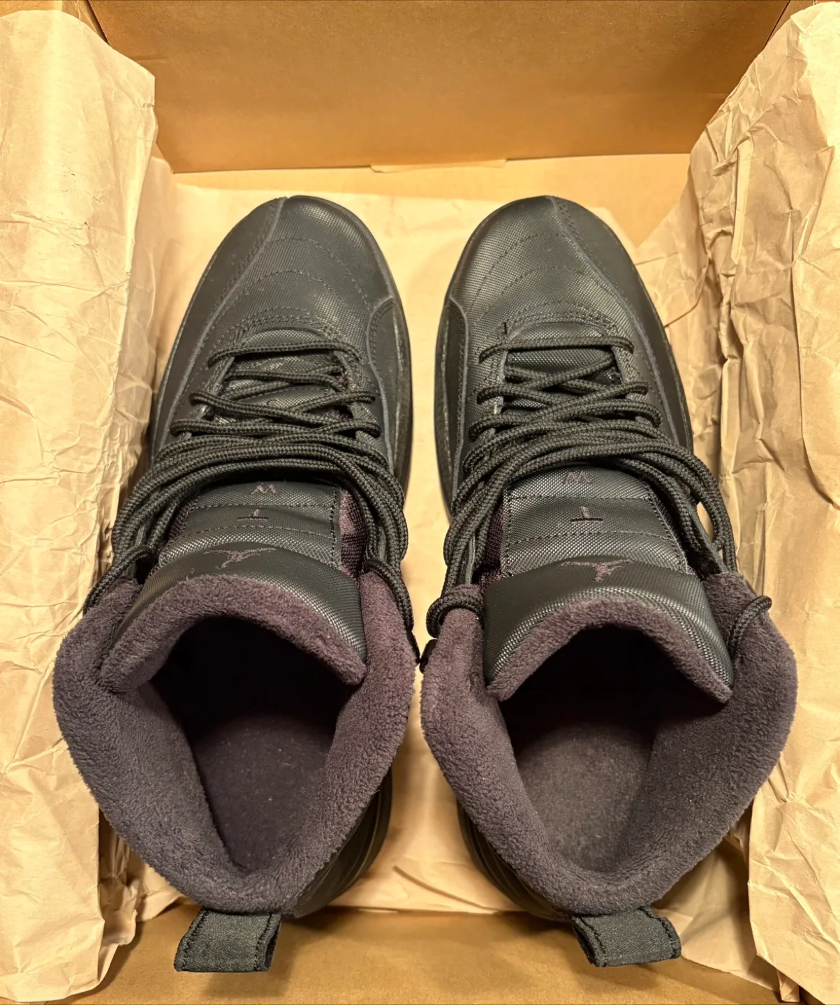 Jordan 12 image indicator(2)