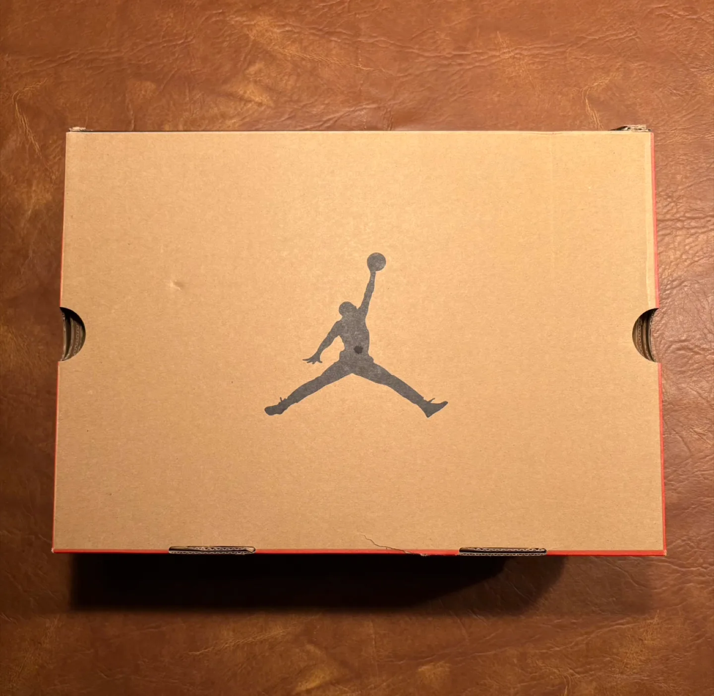 Jordan 12 image indicator(4)