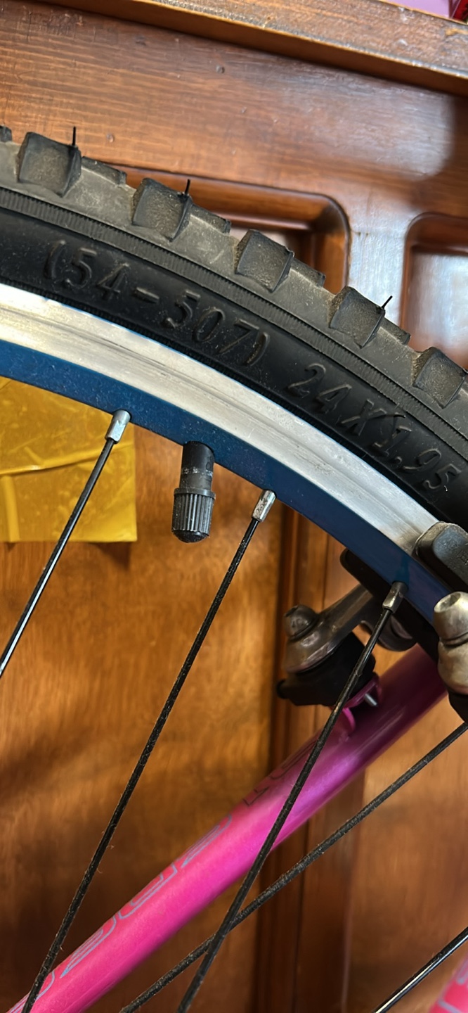 Schwinn bicycle - photo 2