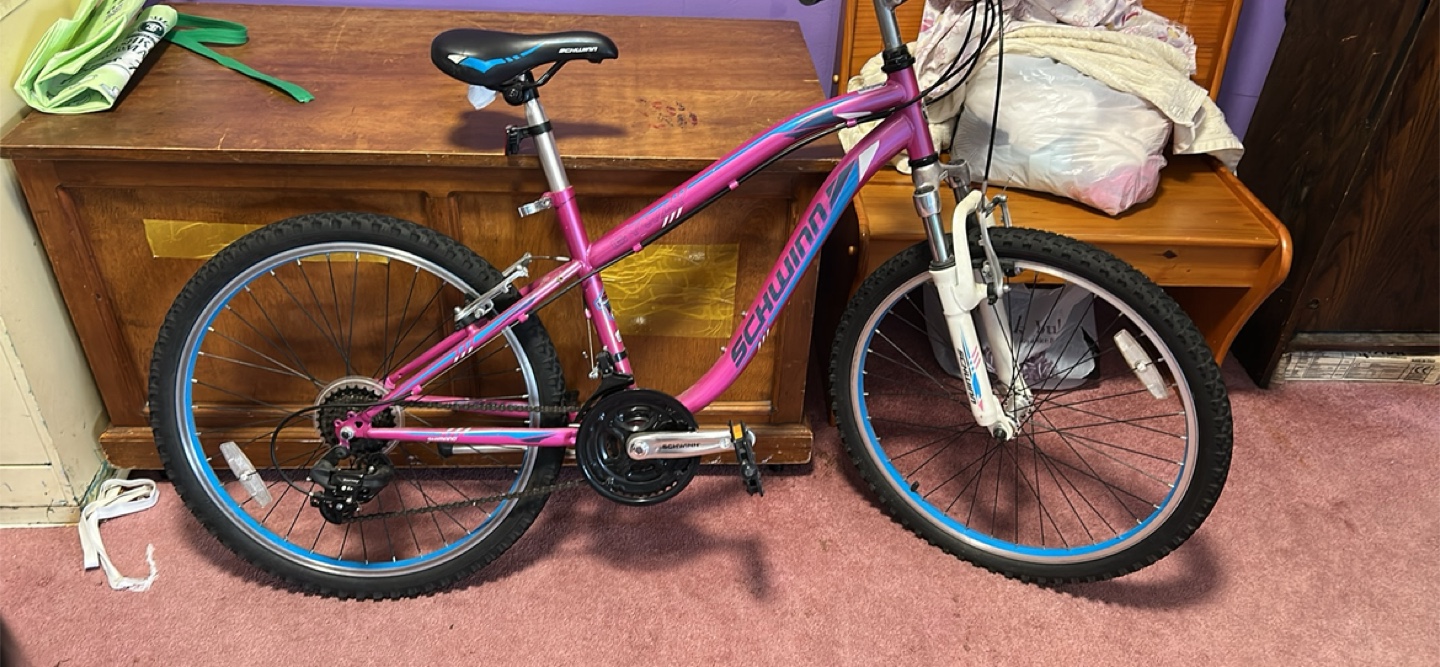 Schwinn bicycle