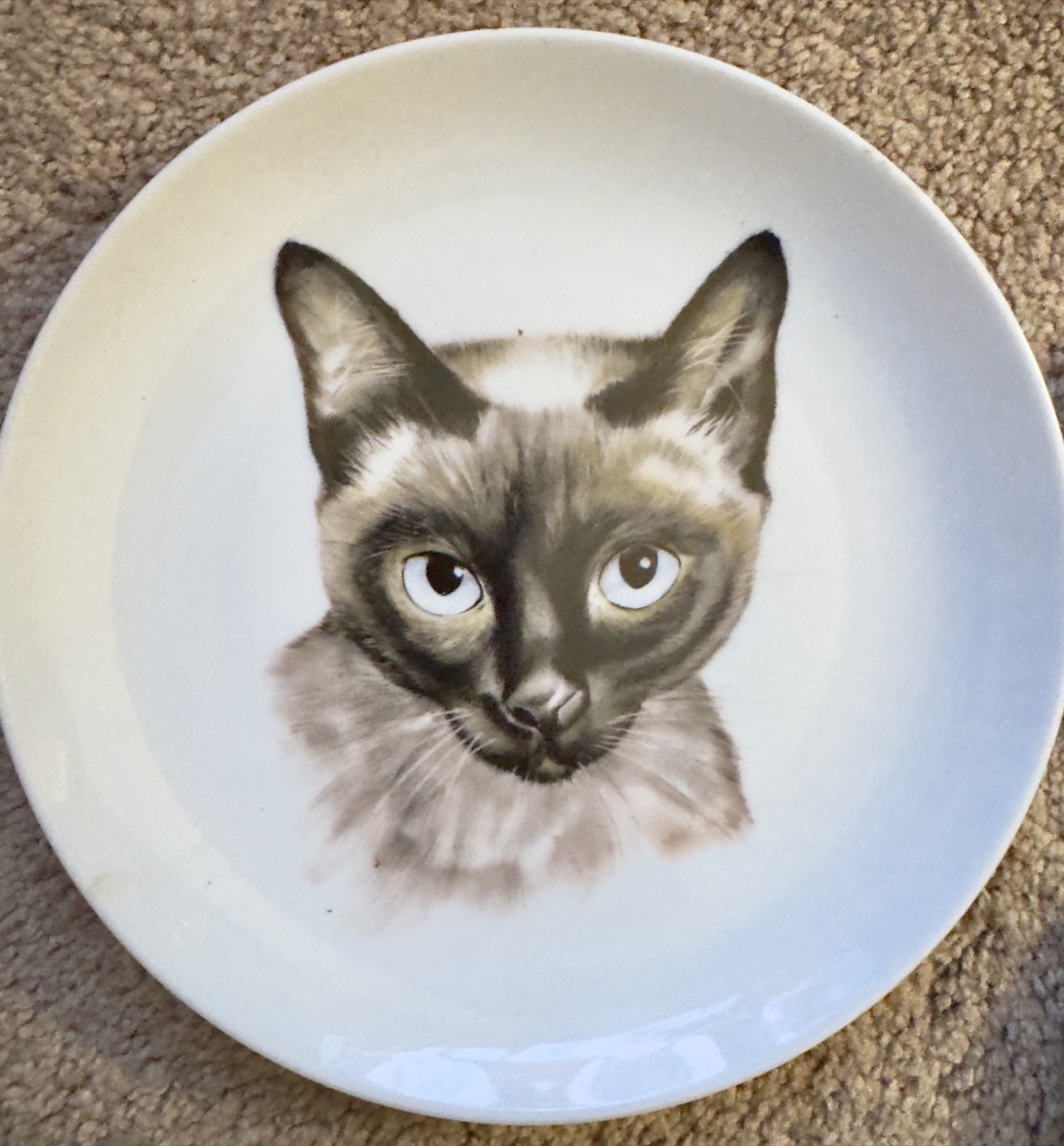 Decorative Plates - Cat, Cowboy, & More! - photo 3