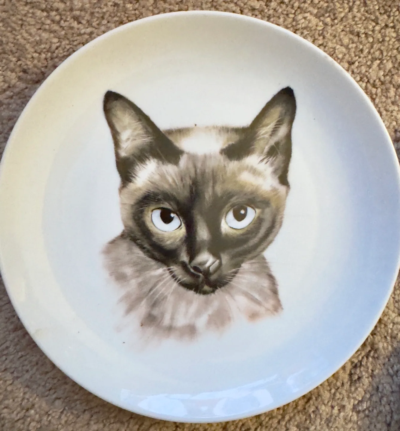 Decorative Plates - Cat, Cowboy, & More! image indicator(3)