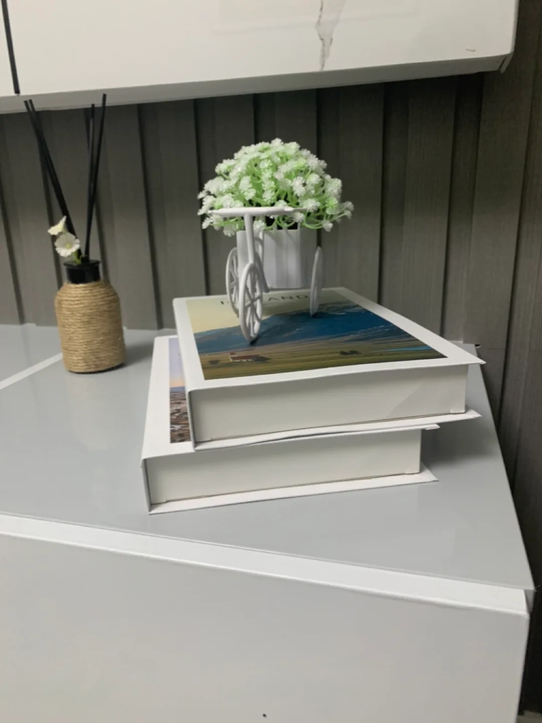 Decoration Books & artificial flowers bicycle pot image indicator(3)