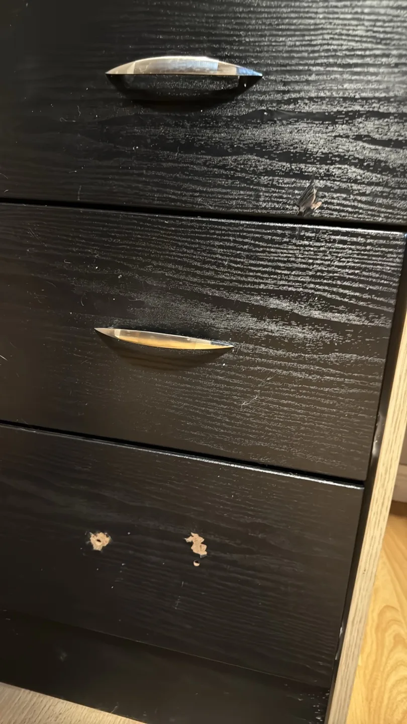 1 loft bed with mattresses thumbnail