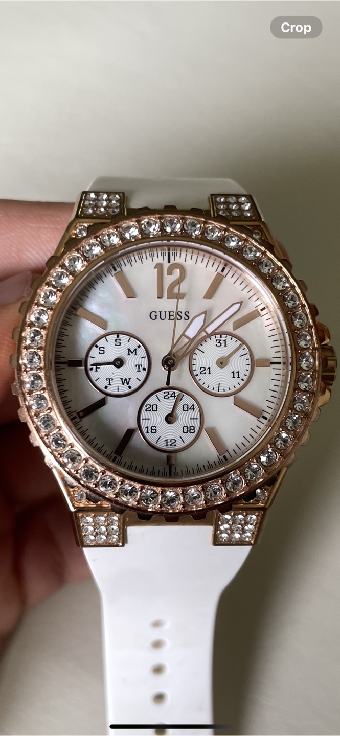 Guess watch (W16577L1)