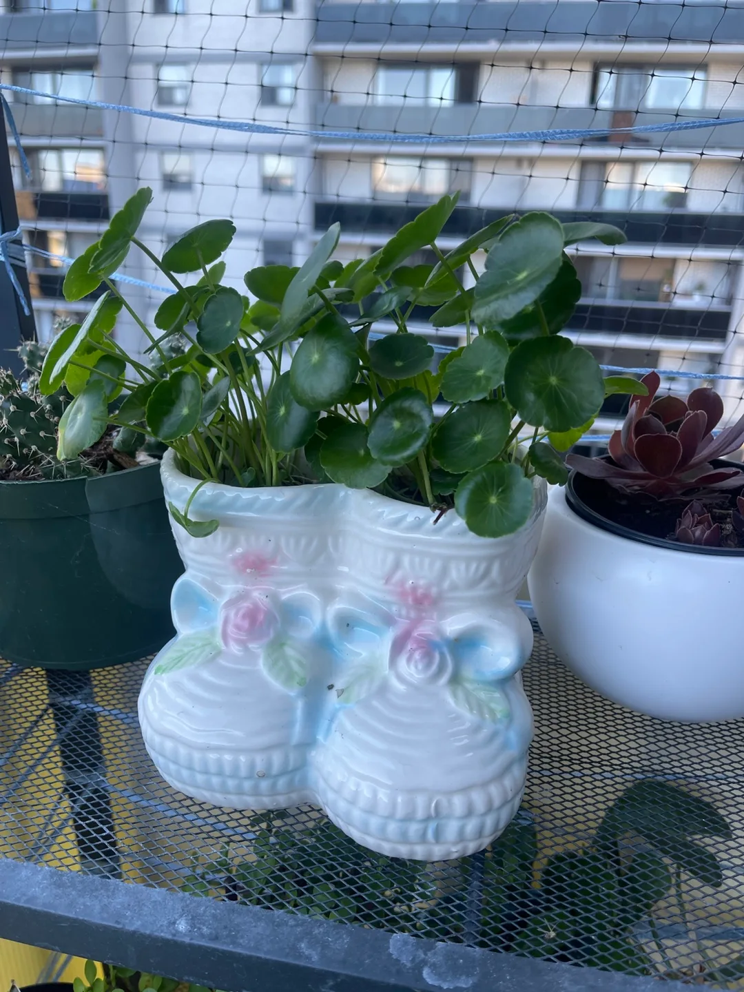 Baby Boot Planter 🇨🇦 thumbnail