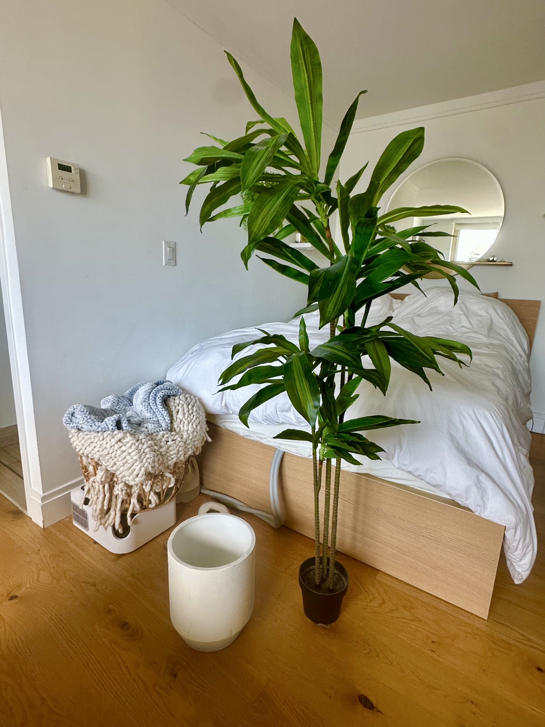 Dracena 5’ potted faux tree with Planter Pot - photo 2