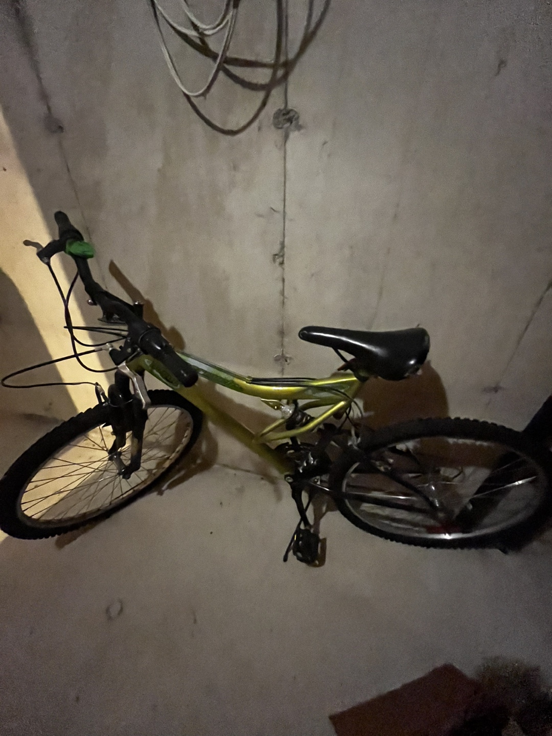 Mountain Bike