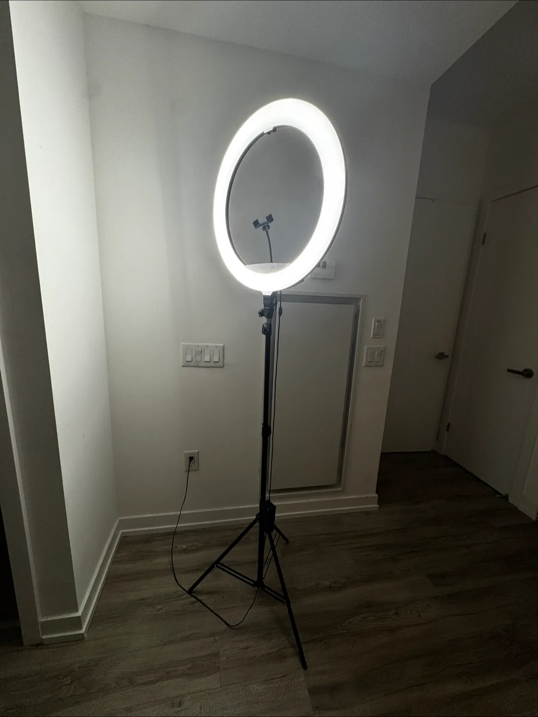 22 inch Ring Light with Tripod Stand thumbnail