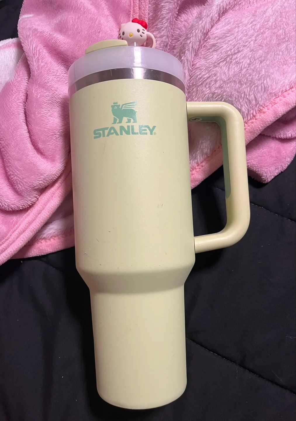 Stanley Tumbler light green 40oz thumbnail