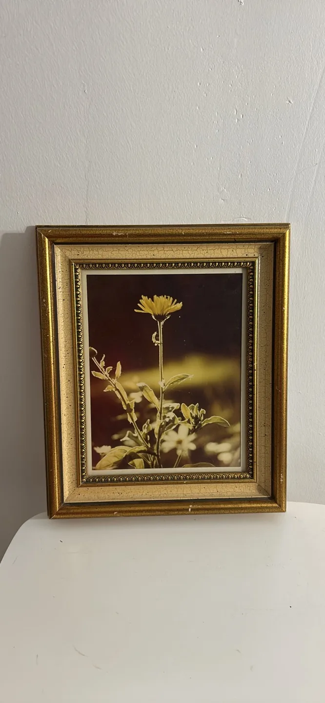 Vintage Framed Floral Print from 1970s thumbnail