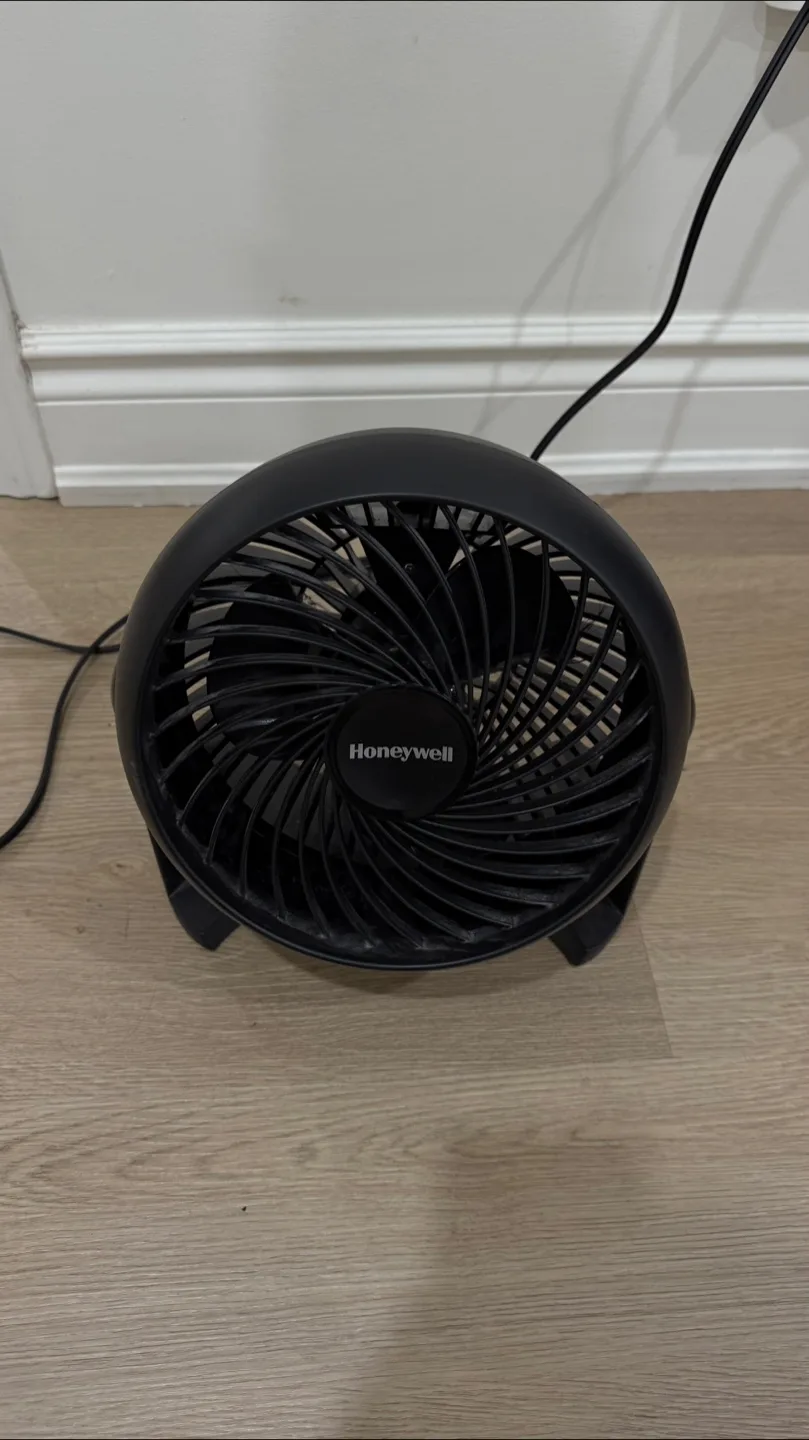 Moving out sale (wall art,fan, weight scale) thumbnail